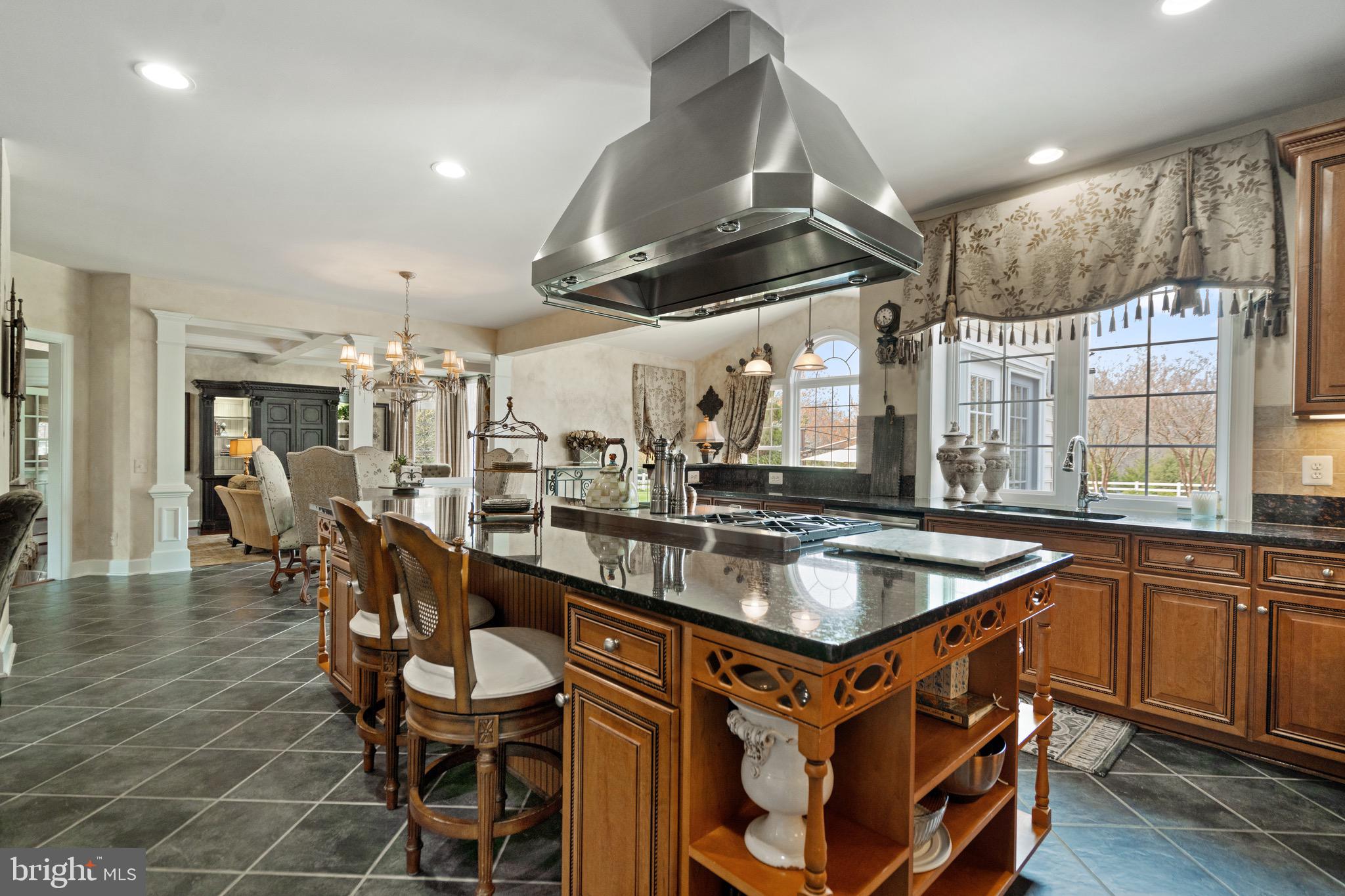 21103 Mill Branch Drive Leesburg, VA 20175 - Photo 8 of 107 Gourmet Chef's kitchen