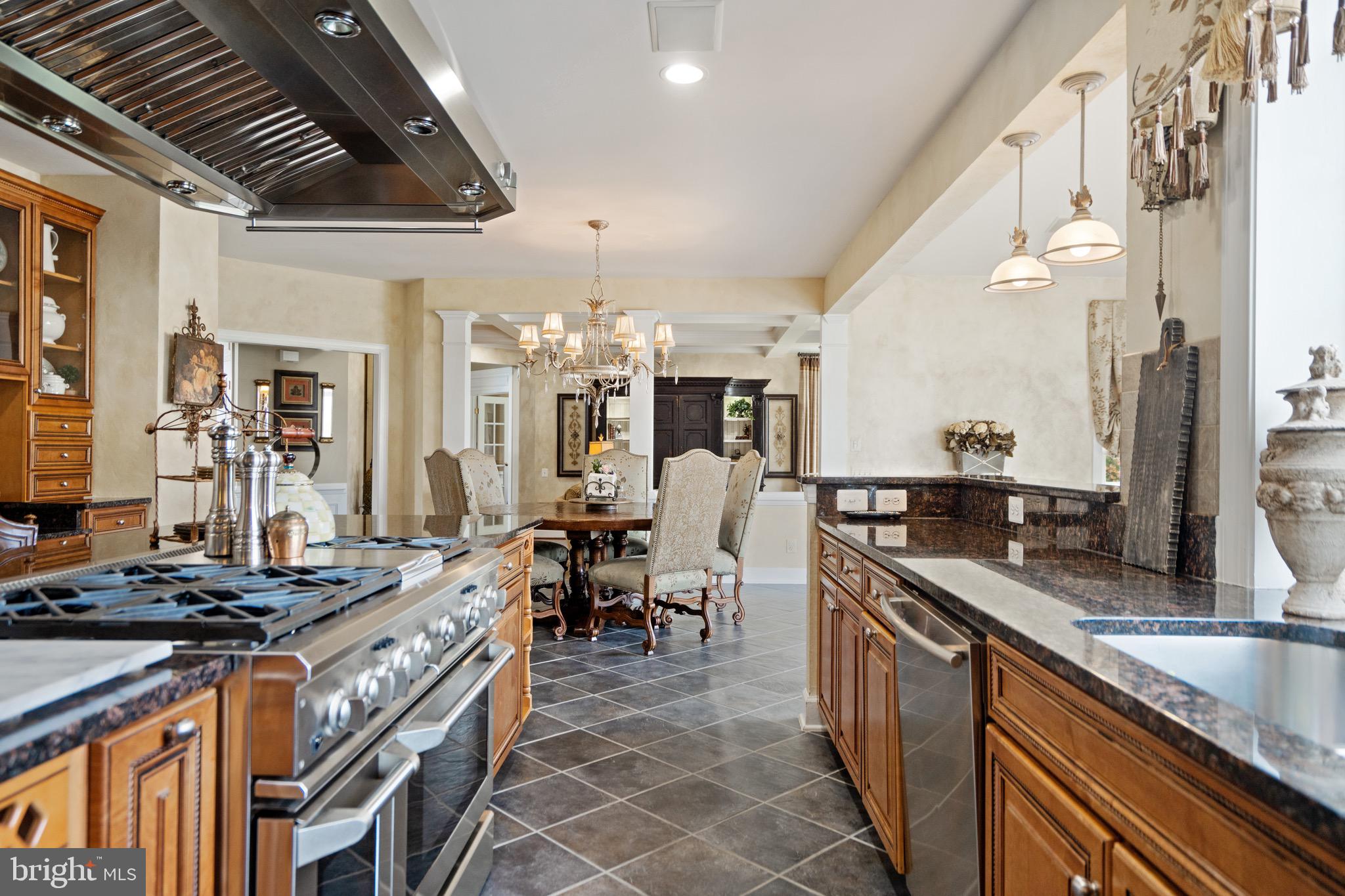 21103 Mill Branch Drive Leesburg, VA 20175 - Photo 9 of 107 Chef's kitchen