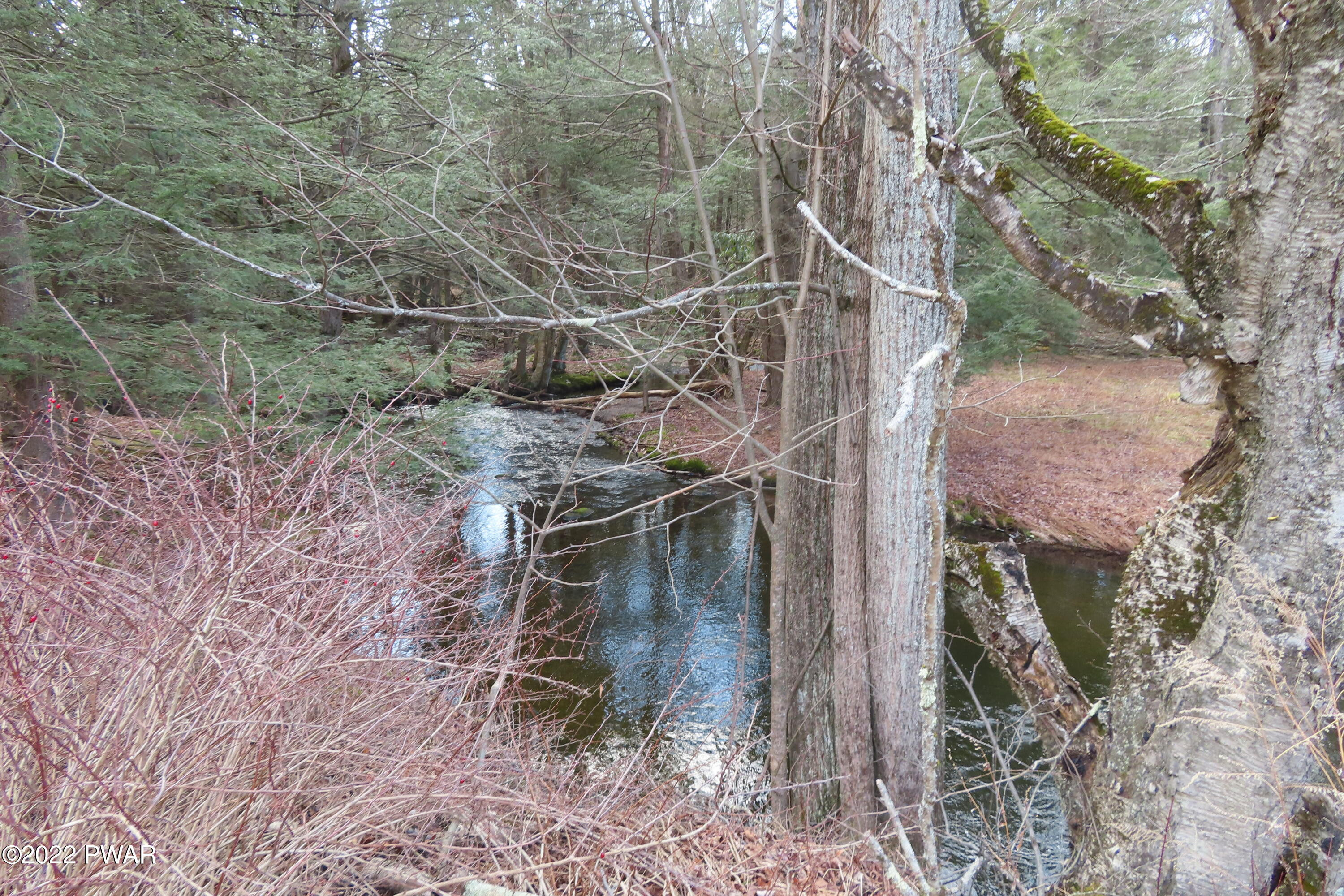 Lot 201 Sawmill Road Greentown, PA 18426 - Photo 6 of 15 IMG_0281