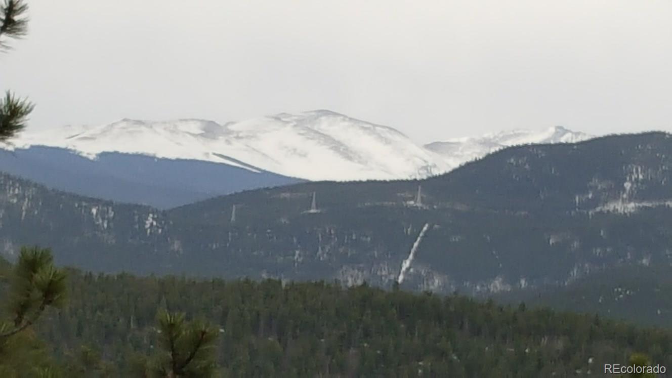 York Gulch Road Idaho Springs, CO 80452 - Photo 11 of 18 Gallery Image 11