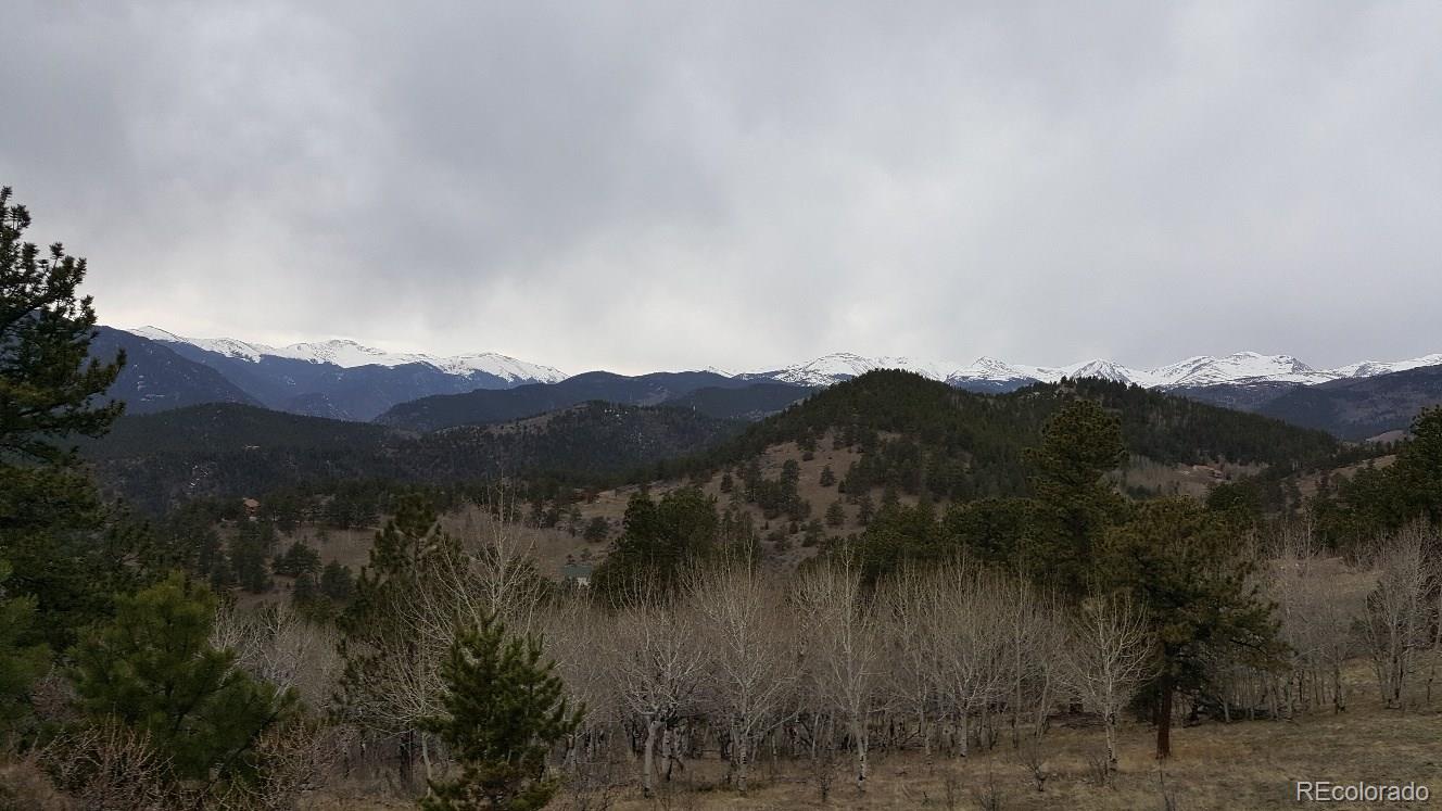 York Gulch Road Idaho Springs, CO 80452 - Photo 15 of 18 Gallery Image 15