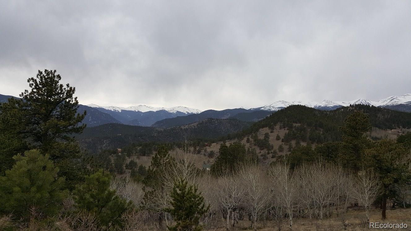 York Gulch Road Idaho Springs, CO 80452 - Photo 16 of 18 Gallery Image 16