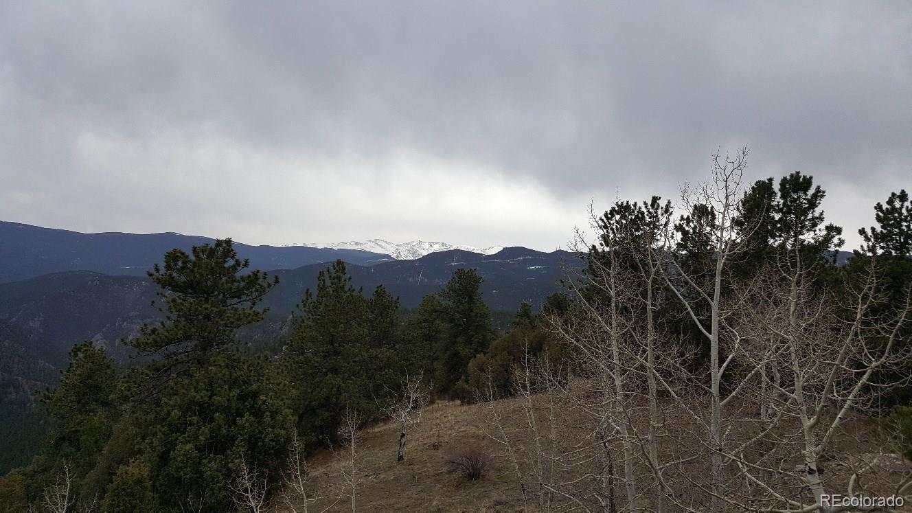 York Gulch Road Idaho Springs, CO 80452 - Photo 17 of 18 Gallery Image 17