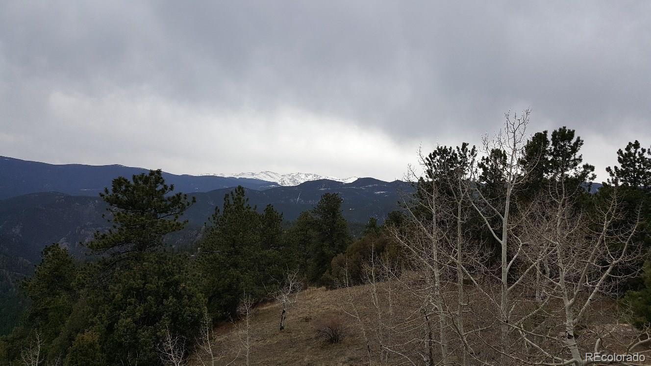 York Gulch Road Idaho Springs, CO 80452 - Photo 18 of 18 Gallery Image 18
