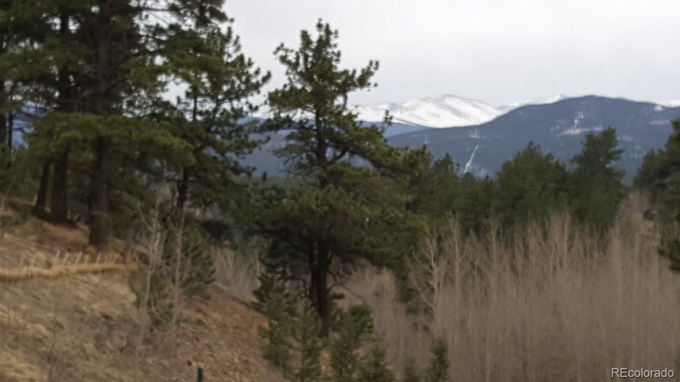 York Gulch Road Idaho Springs, CO 80452 - Photo 4 of 18 Gallery Image 4