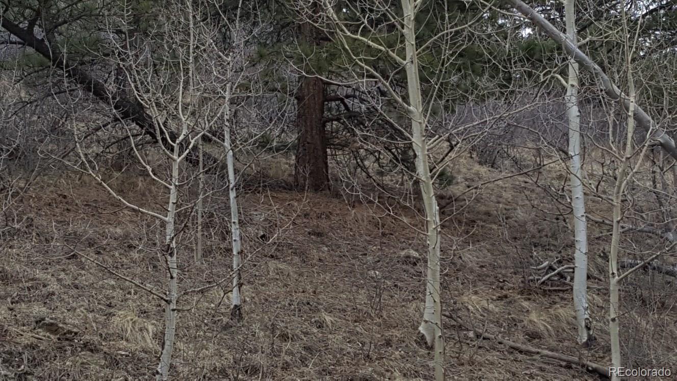 York Gulch Road Idaho Springs, CO 80452 - Photo 5 of 18 Gallery Image 5