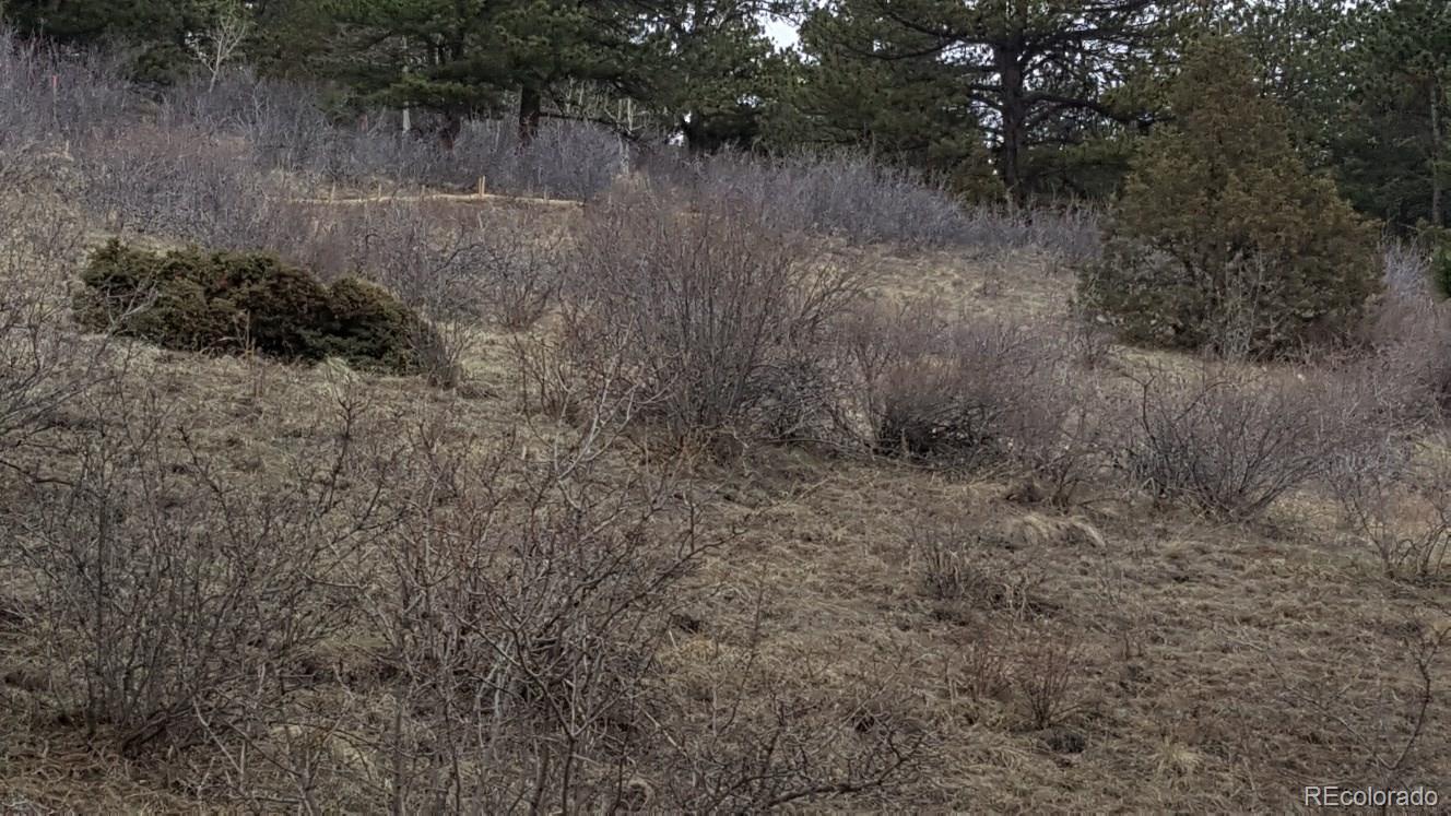 York Gulch Road Idaho Springs, CO 80452 - Photo 7 of 18 Gallery Image 7