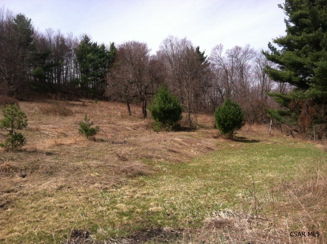 Wells Creek Road Friedens, PA 15541 - Photo 1 of 1 Gallery Image 1