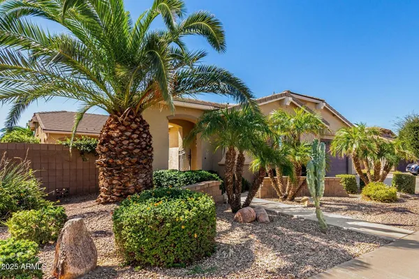 $3,300 | 2585 East Carob Drive, Gilbert, AZ 85298