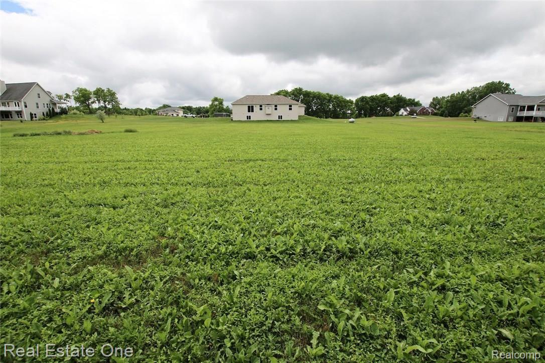 5076 Hidden Ridge Road Metamora, MI 48455 - Photo 43 of 46 43) Backyard.jpg