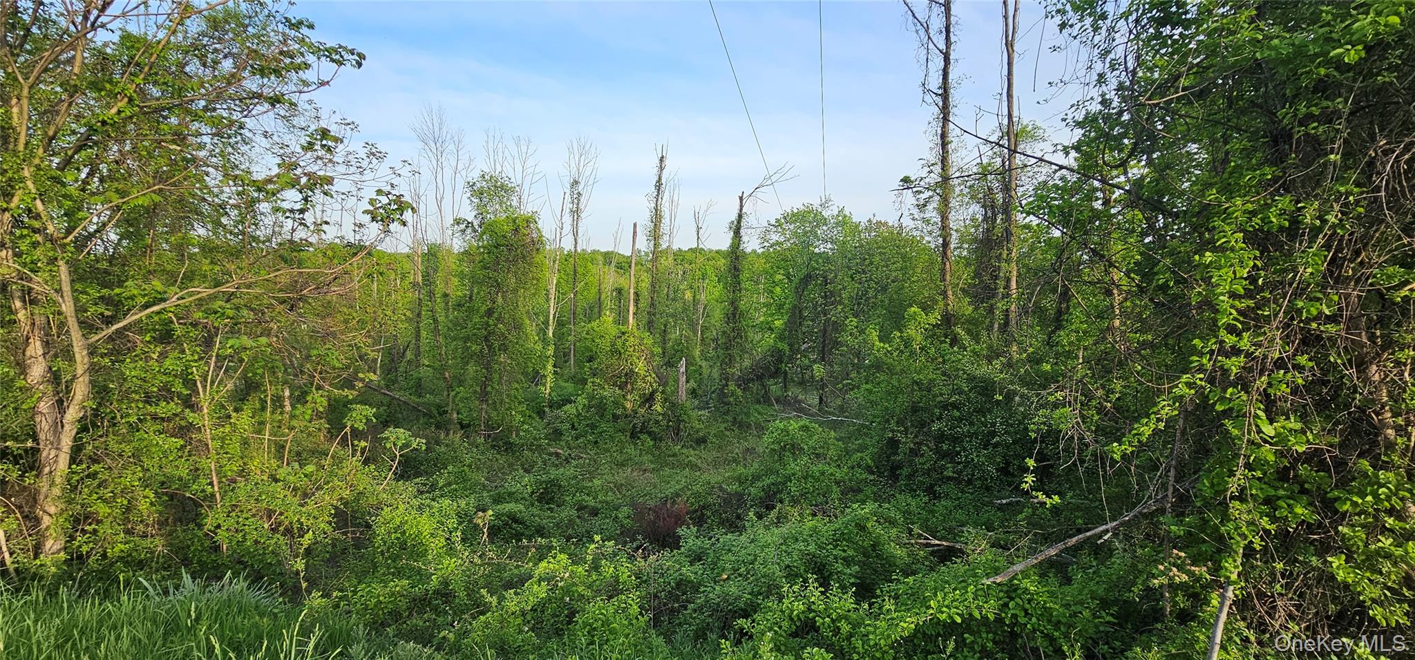Old Mountain Road Otisville, NY 10963 - Photo 3 of 8 a view of a garden