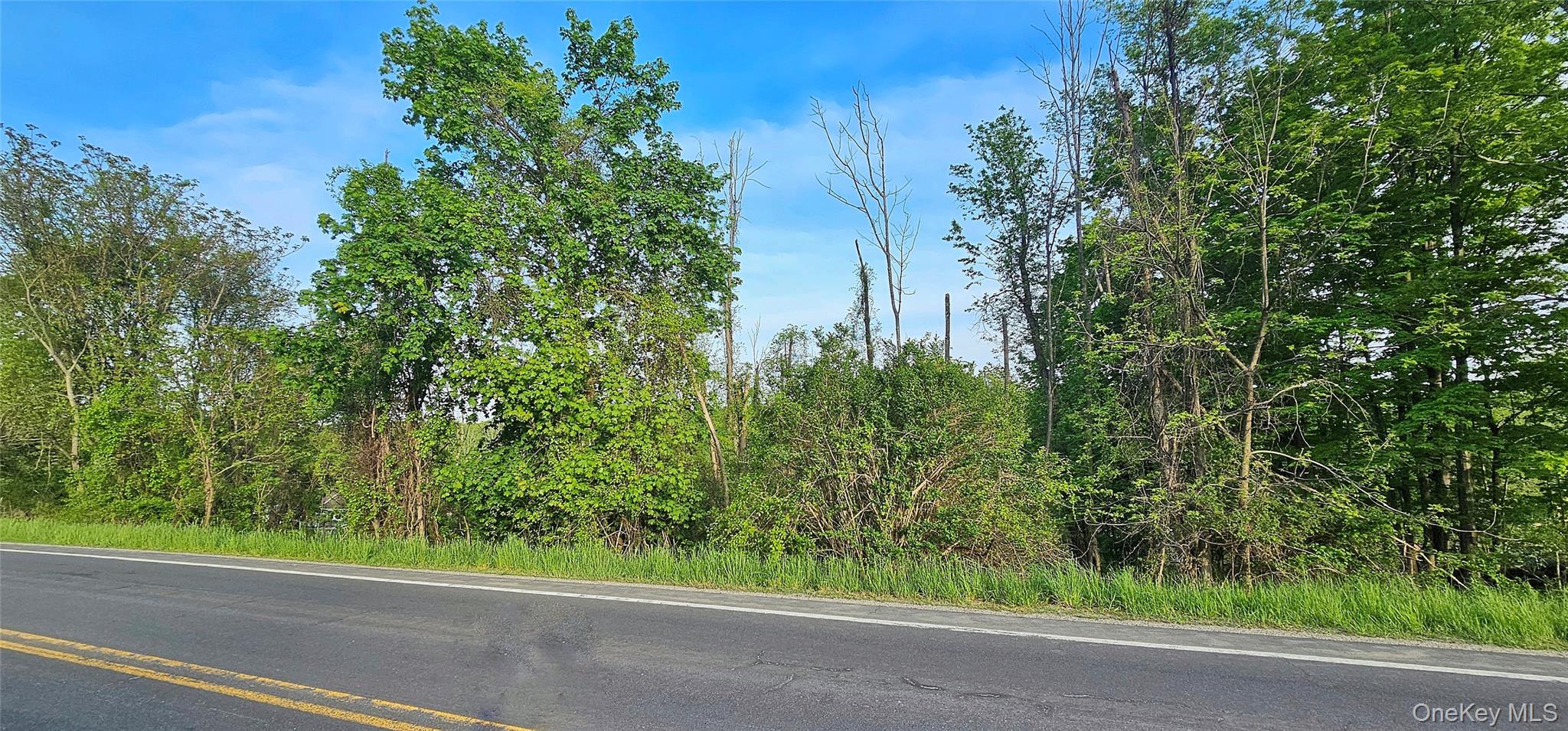 Old Mountain Road Otisville, NY 10963 - Photo 8 of 8 a view of a yard with a tree
