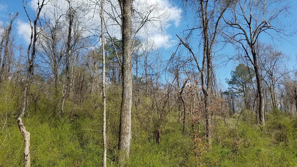 Hannah Road Harriman, TN 37748 - Photo 3 of 9 20180322_142726