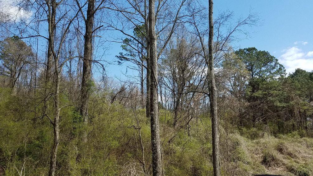 Hannah Road Harriman, TN 37748 - Photo 4 of 9 20180322_142741