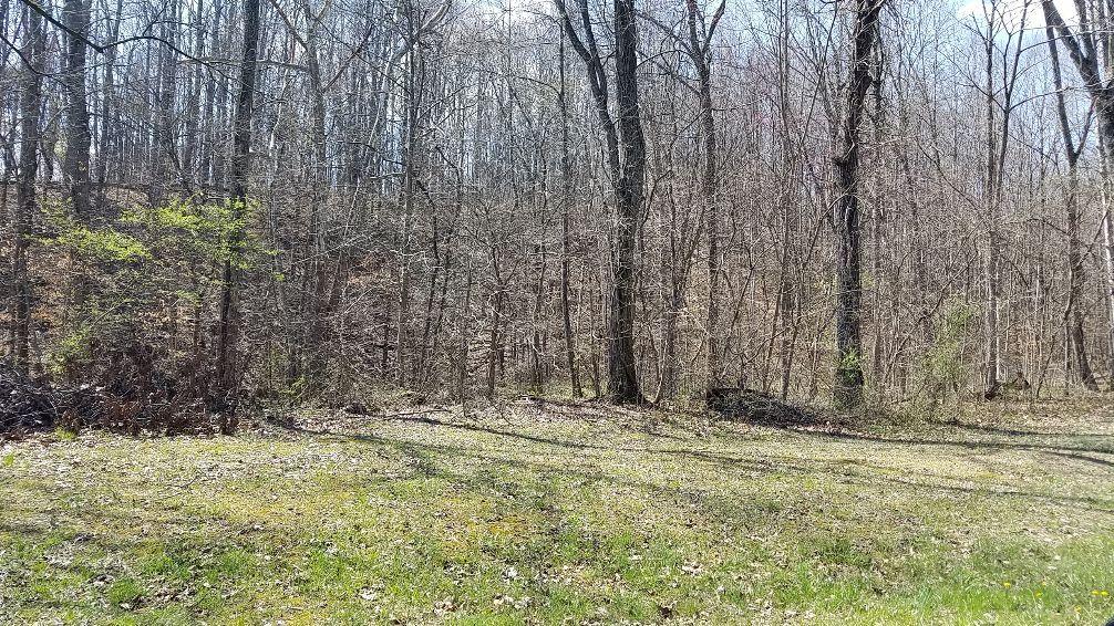 Hannah Road Harriman, TN 37748 - Photo 6 of 9 20180322_145909