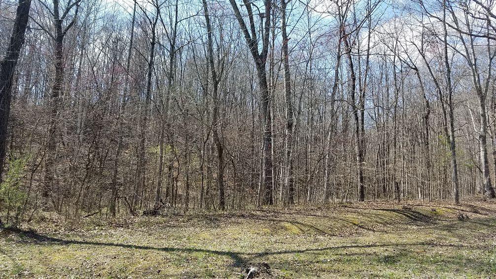 Hannah Road Harriman, TN 37748 - Photo 7 of 9 20180322_145918