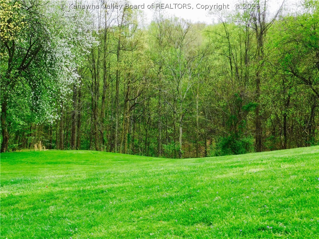 232 Easter Road Nitro, WV 25143 - Photo 8 of 39 Gallery Image 8