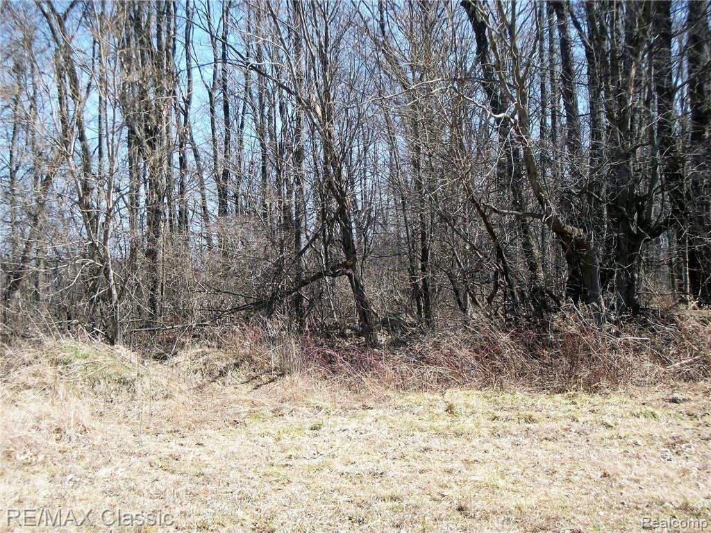 6100 Miller Road Fowlerville, MI 48836 - Photo 7 of 13