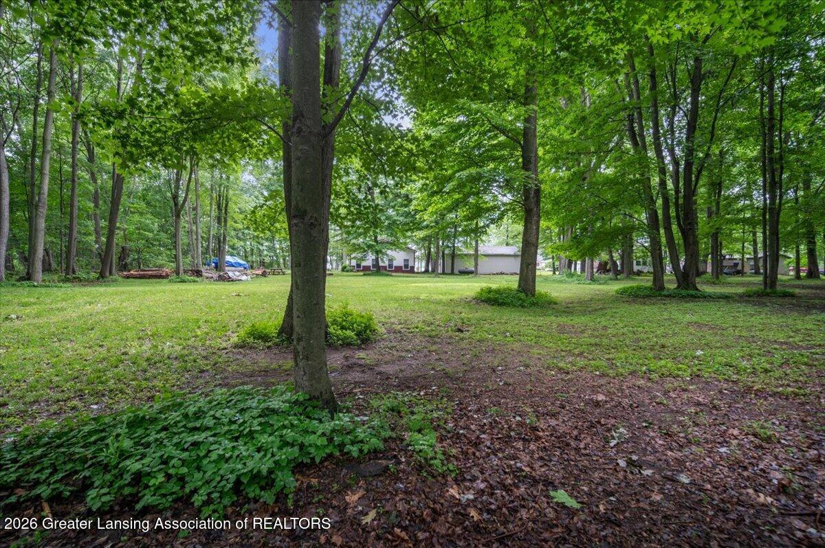 1520 Shepard Road Crystal, MI 48818 - Photo 51 of 59 55-LOT IN BACK 06