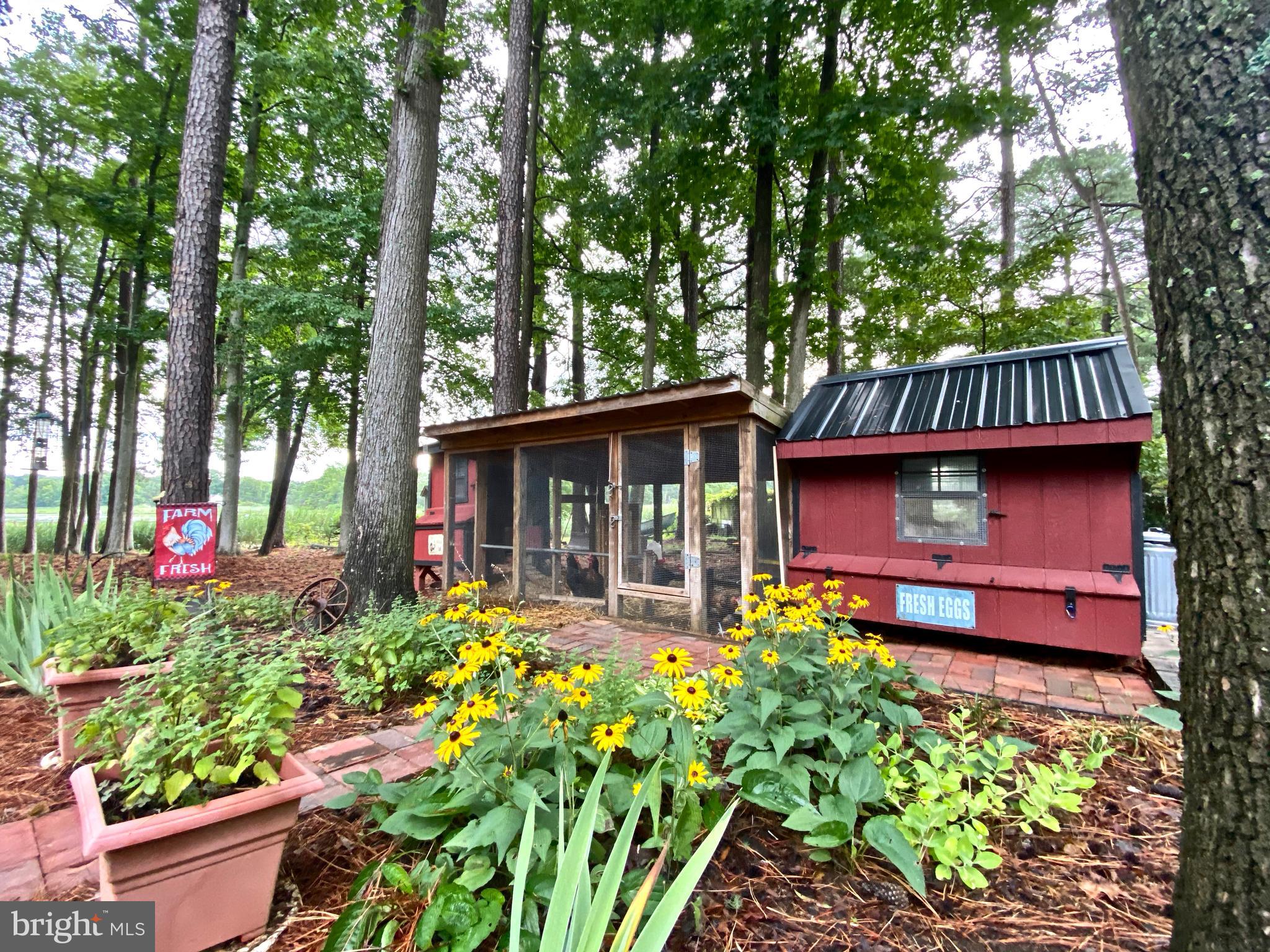 12220 Potomac View Road Newburg, MD 20664 - Photo 48 of 62 Custom chicken coup