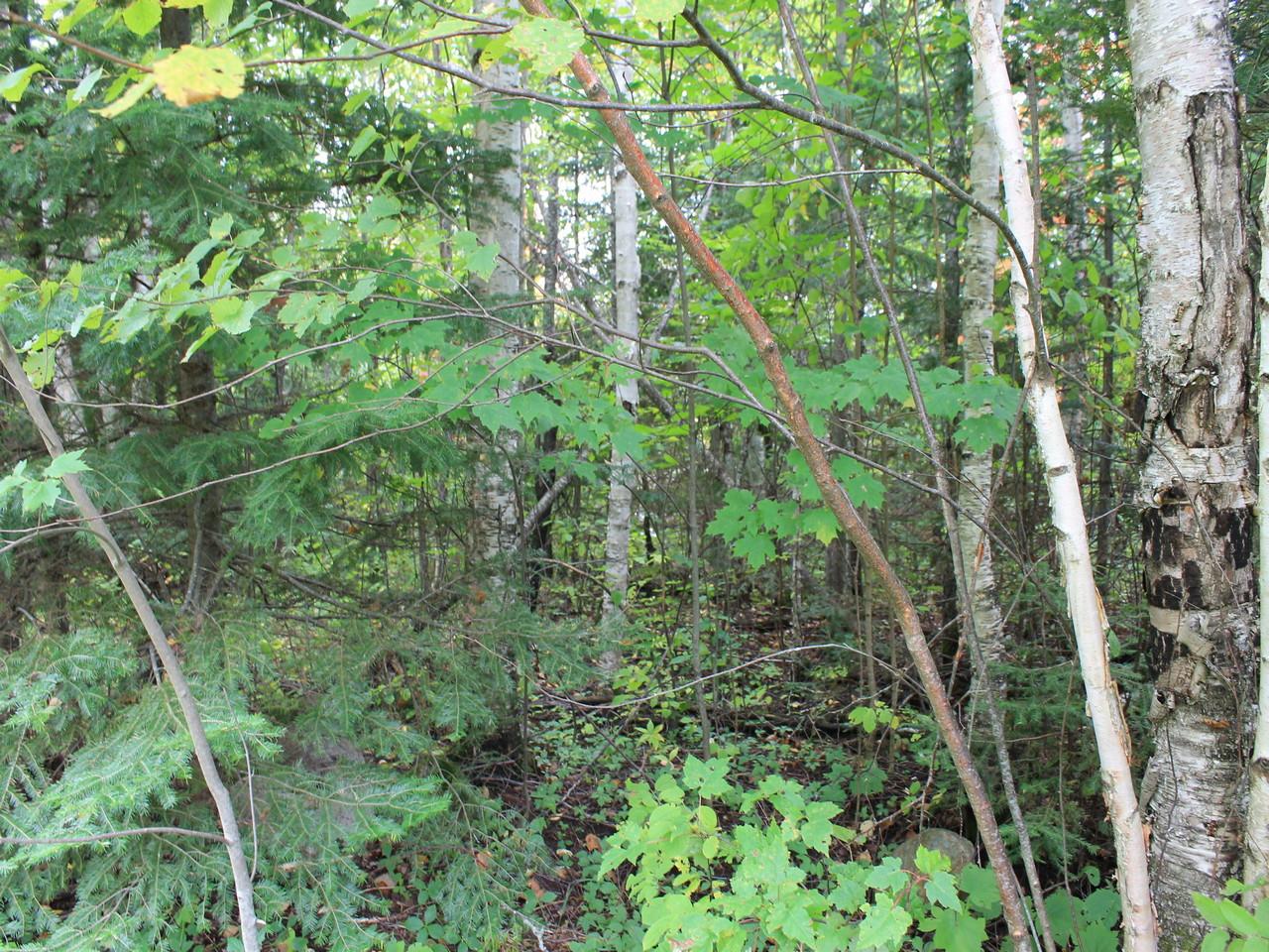 Three Ten Road, Unit LOT 25 Mercer, WI 54547 - Photo 12 of 15 Gallery Image 12