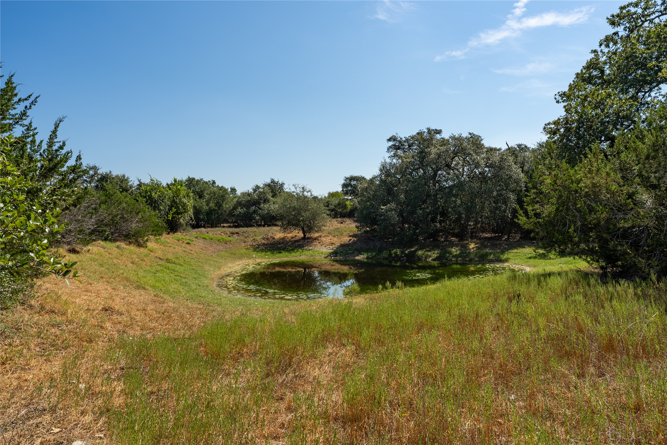 119 Riley Wood Blanco, TX 78606 - Photo 3 of 20 The tract is level at the street, and gently slopes toward the pond for ultimate water capture.
