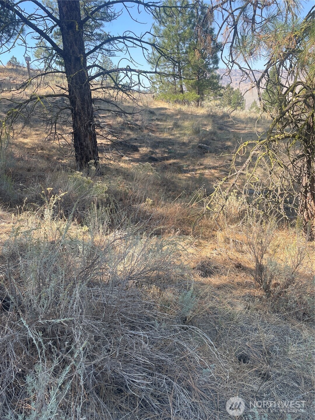 -tbd Reevas Basin Road Tonasket, WA 98855 - Photo 13 of 38