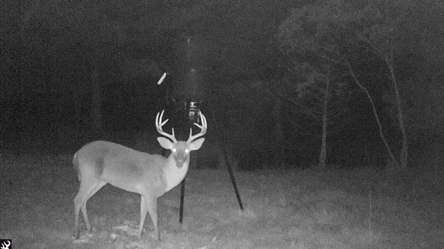 $602,000 | 0 Norris Drive, Ruffin, SC 29475