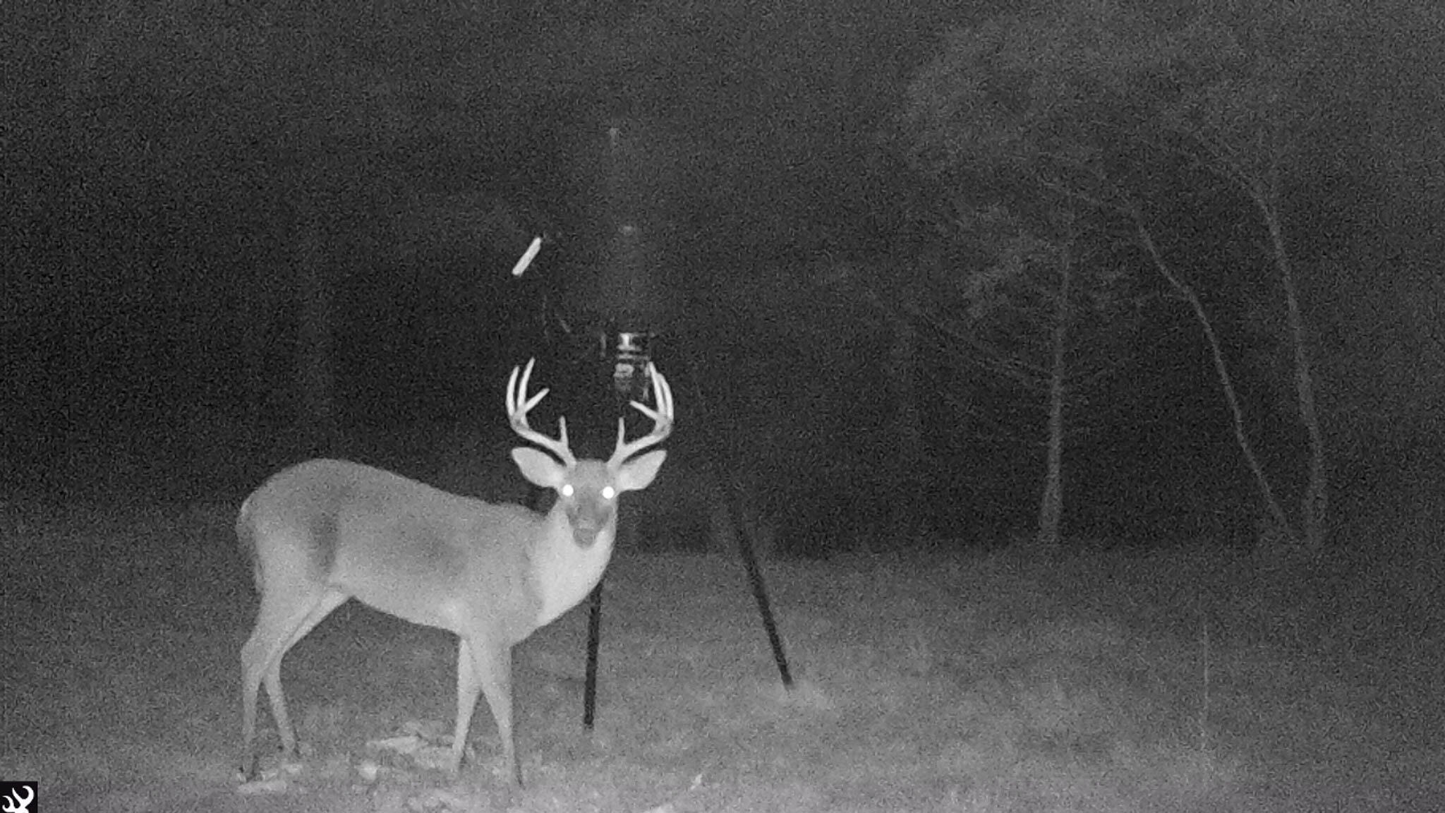 Oakbreeze Farm SC Land for Sale-34