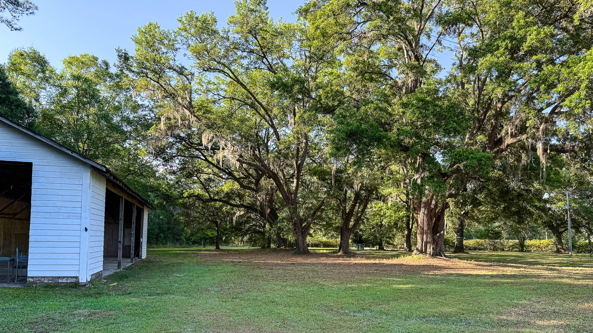 0 Norris Drive Ruffin, SC 29475 - Photo 12 of 33 Oakbreeze Farm SC Land for Sale-45