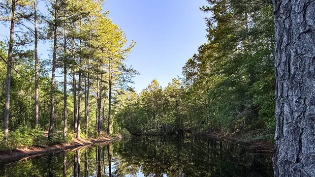 $602,000 | 0 Norris Drive, Ruffin, SC 29475