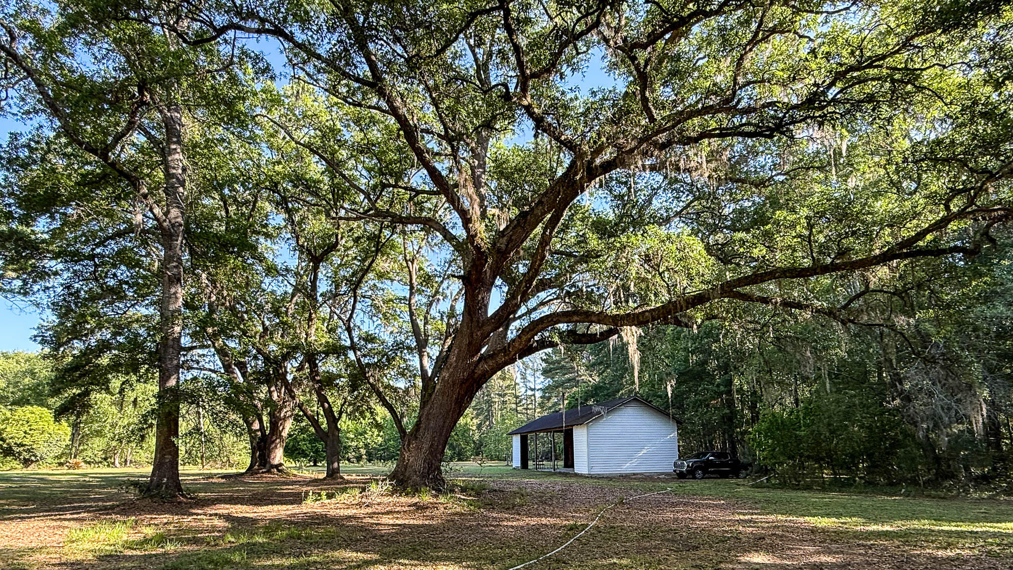 0 Norris Drive Ruffin, SC 29475 - Photo 14 of 33 Oakbreeze Farm SC Land for Sale-47