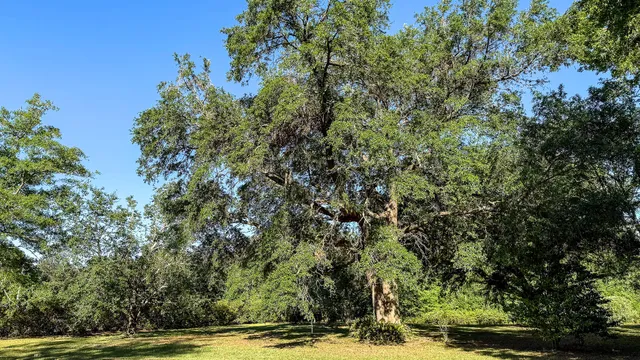 $602,000 | 0 Norris Drive, Ruffin, SC 29475