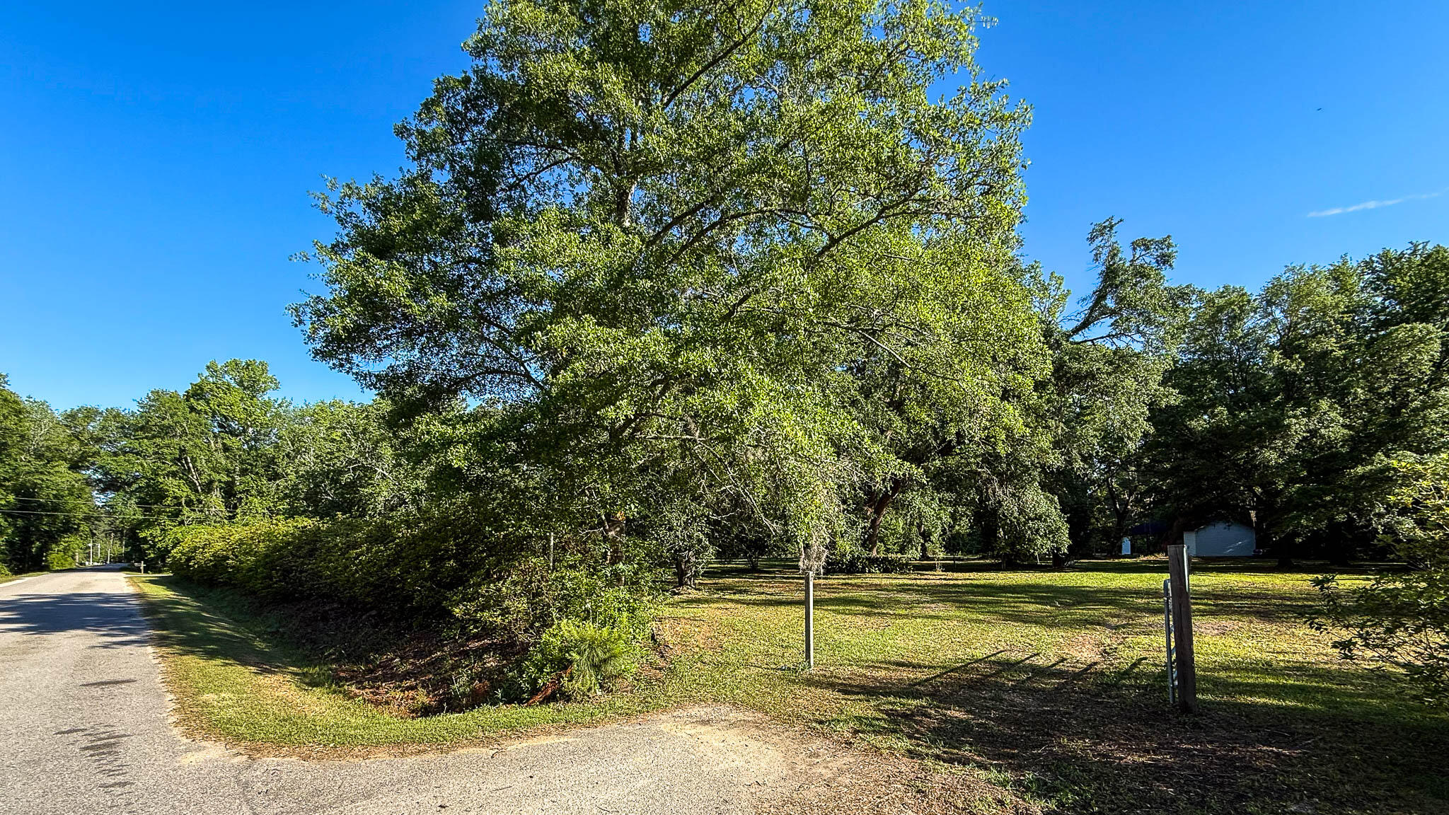 0 Norris Drive Ruffin, SC 29475 - Photo 16 of 33 Oakbreeze Farm SC Land for Sale-49