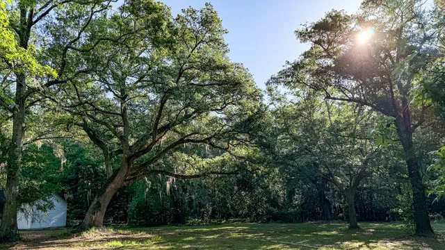 $602,000 | 0 Norris Drive, Ruffin, SC 29475