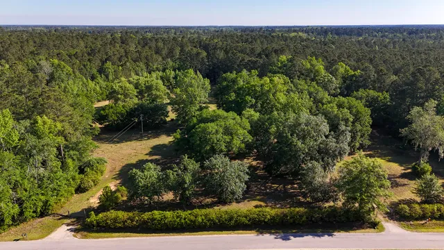 $602,000 | 0 Norris Drive, Ruffin, SC 29475