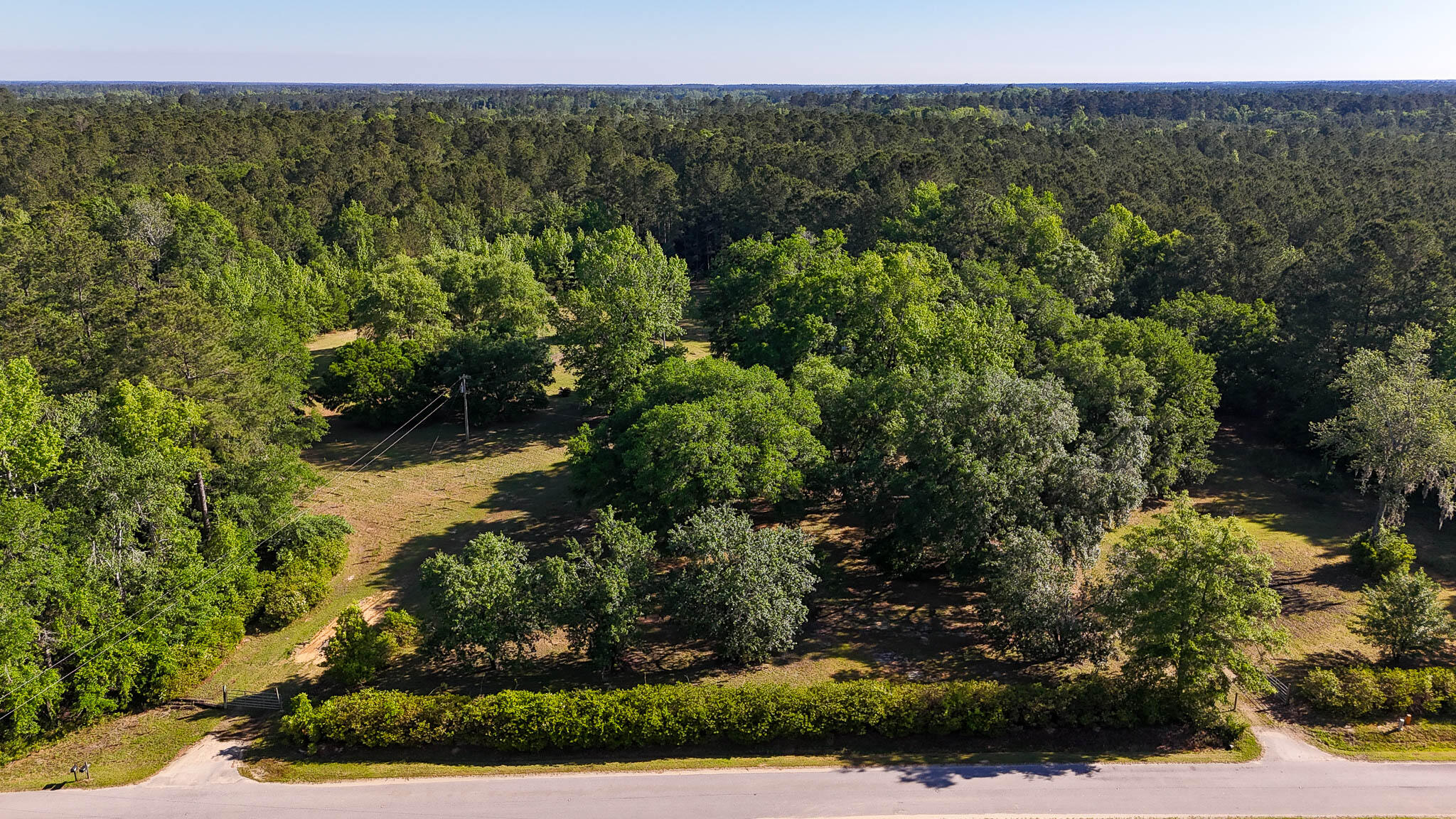 0 Norris Drive Ruffin, SC 29475 - Photo 21 of 33 Oakbreeze Farm SC Land for Sale-54