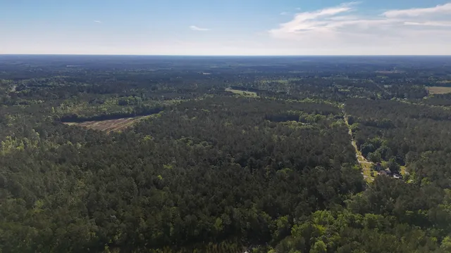 $602,000 | 0 Norris Drive, Ruffin, SC 29475