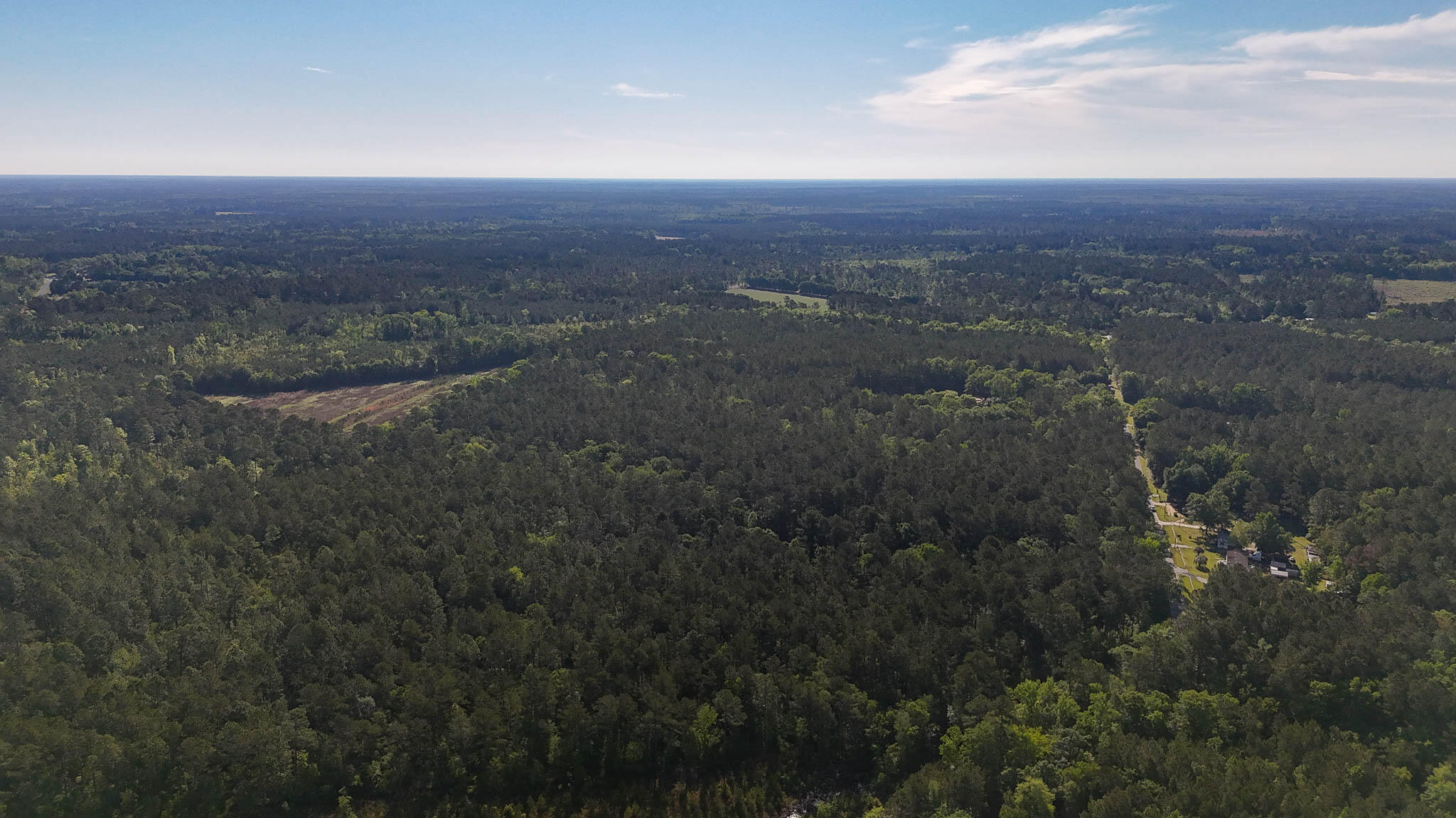 0 Norris Drive Ruffin, SC 29475 - Photo 23 of 33 Oakbreeze Farm SC Land for Sale-56