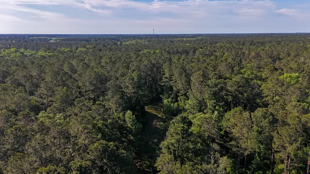 $602,000 | 0 Norris Drive, Ruffin, SC 29475