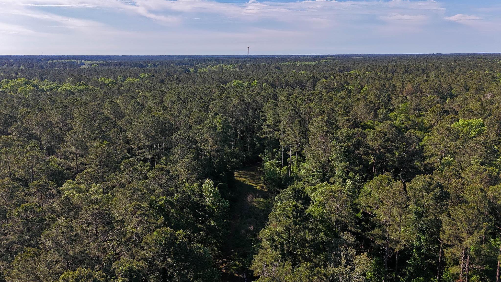 0 Norris Drive Ruffin, SC 29475 - Photo 24 of 33 Oakbreeze Farm SC Land for Sale-57