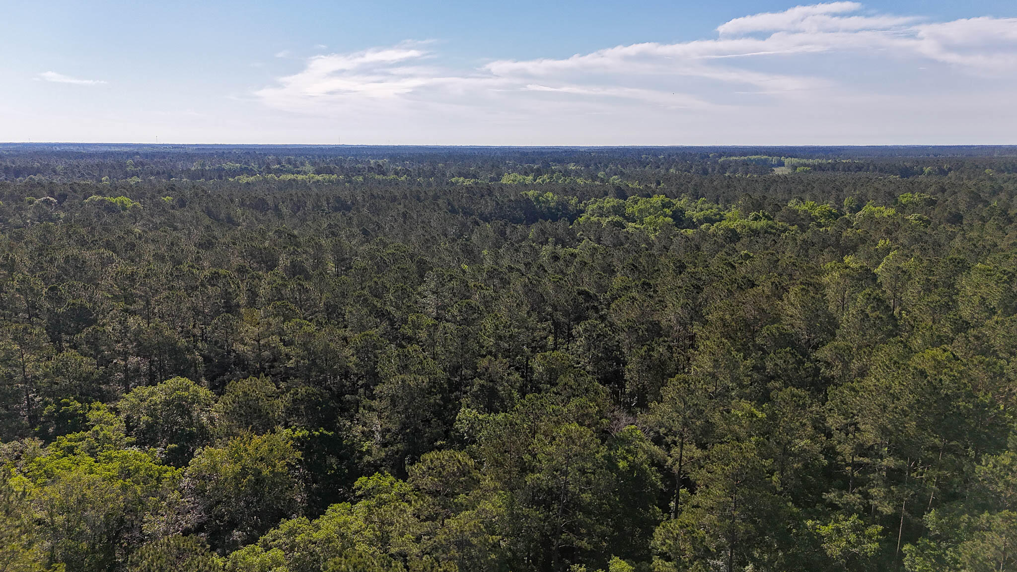 0 Norris Drive Ruffin, SC 29475 - Photo 25 of 33 Oakbreeze Farm SC Land for Sale-58