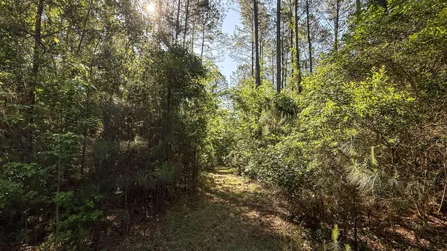 $602,000 | 0 Norris Drive, Ruffin, SC 29475