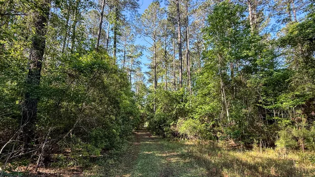 $602,000 | 0 Norris Drive, Ruffin, SC 29475