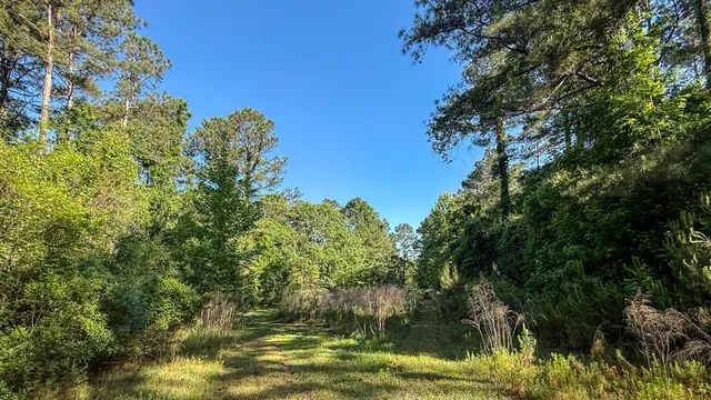 $602,000 | 0 Norris Drive, Ruffin, SC 29475