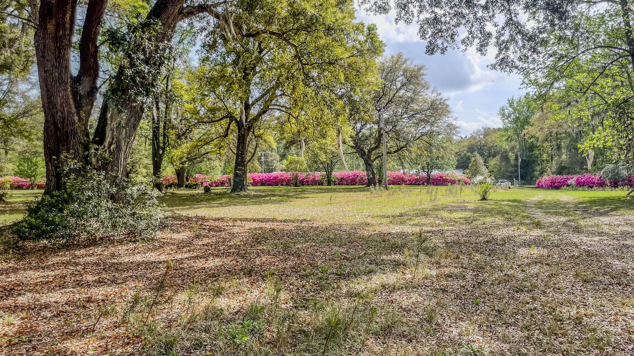 0 Norris Drive Ruffin, SC 29475 - Photo 3 of 33 Oakbreeze Farm SC Land for Sale-36