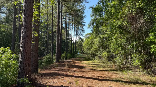 $602,000 | 0 Norris Drive, Ruffin, SC 29475