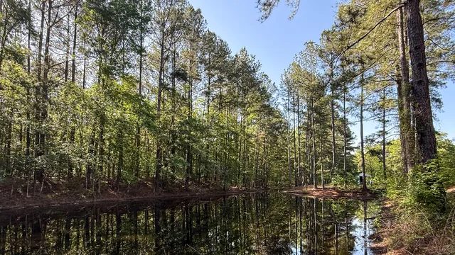 $602,000 | 0 Norris Drive, Ruffin, SC 29475