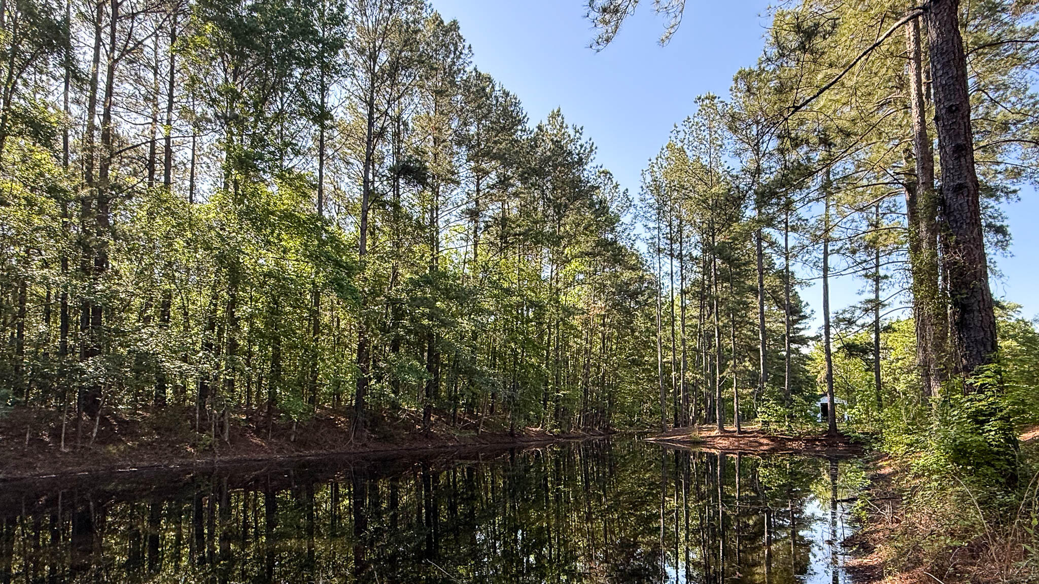 0 Norris Drive Ruffin, SC 29475 - Photo 32 of 33 Oakbreeze Farm SC Land for Sale-65