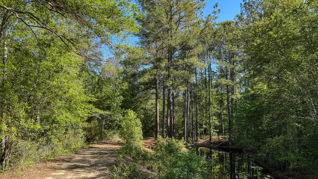 $602,000 | 0 Norris Drive, Ruffin, SC 29475